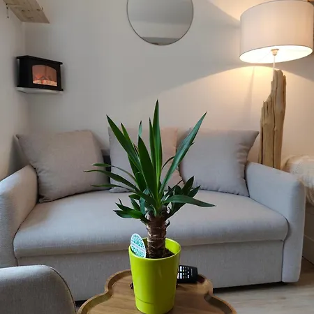 Appartement Elegant, Chaleureux Et Cosy A Reims Exterior photo