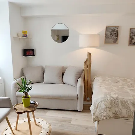 Appartement Elegant, Chaleureux Et Cosy A Reims Exterior photo