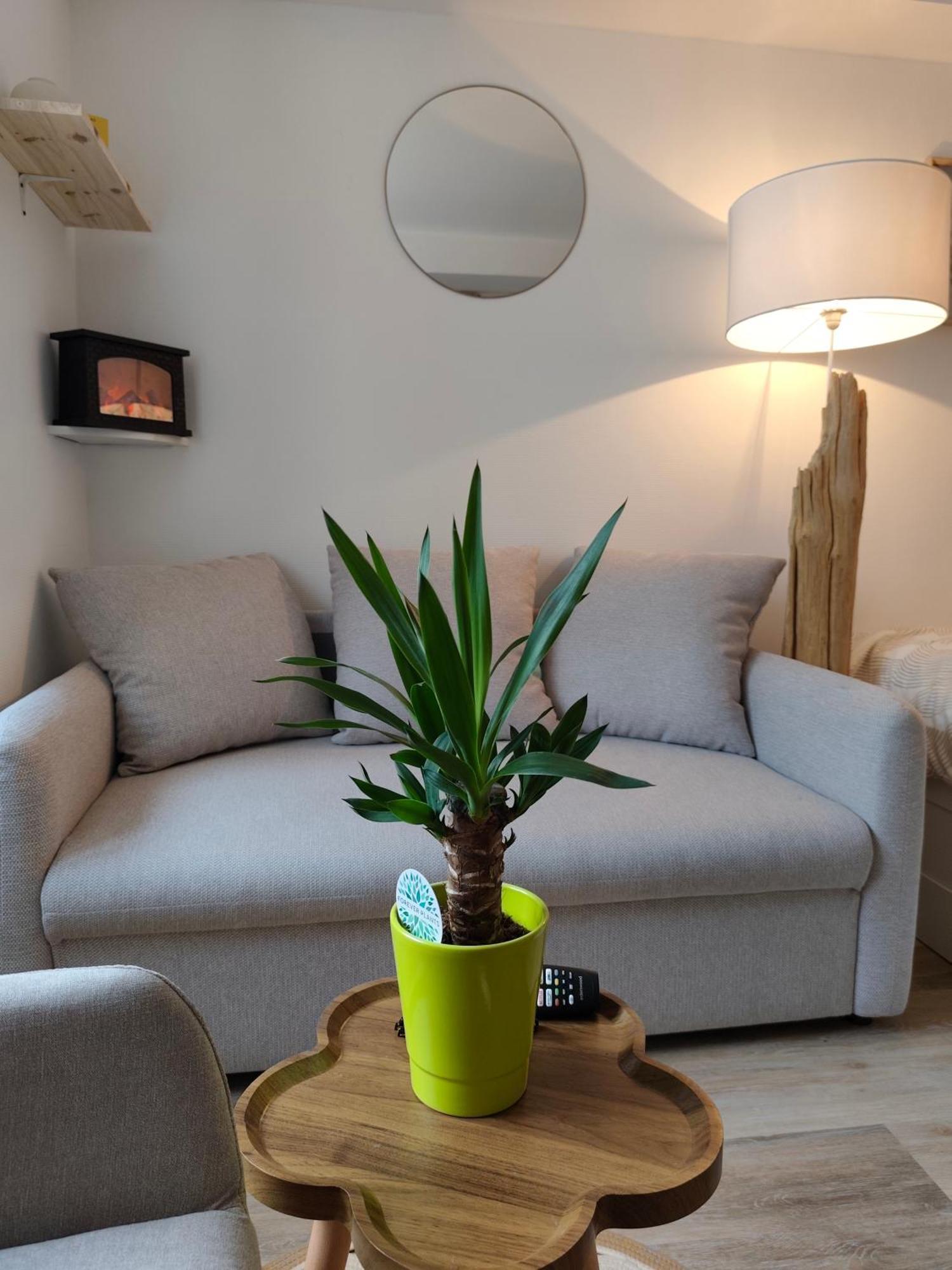Elegant, Chaleureux Et Cosy A Appartement *